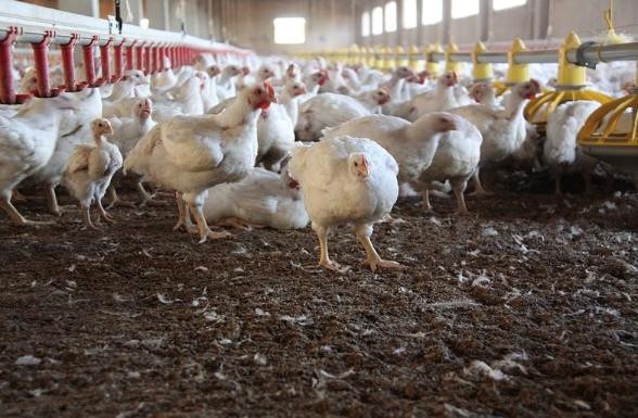 Acamprosate Abuse TreatmentRindge NH